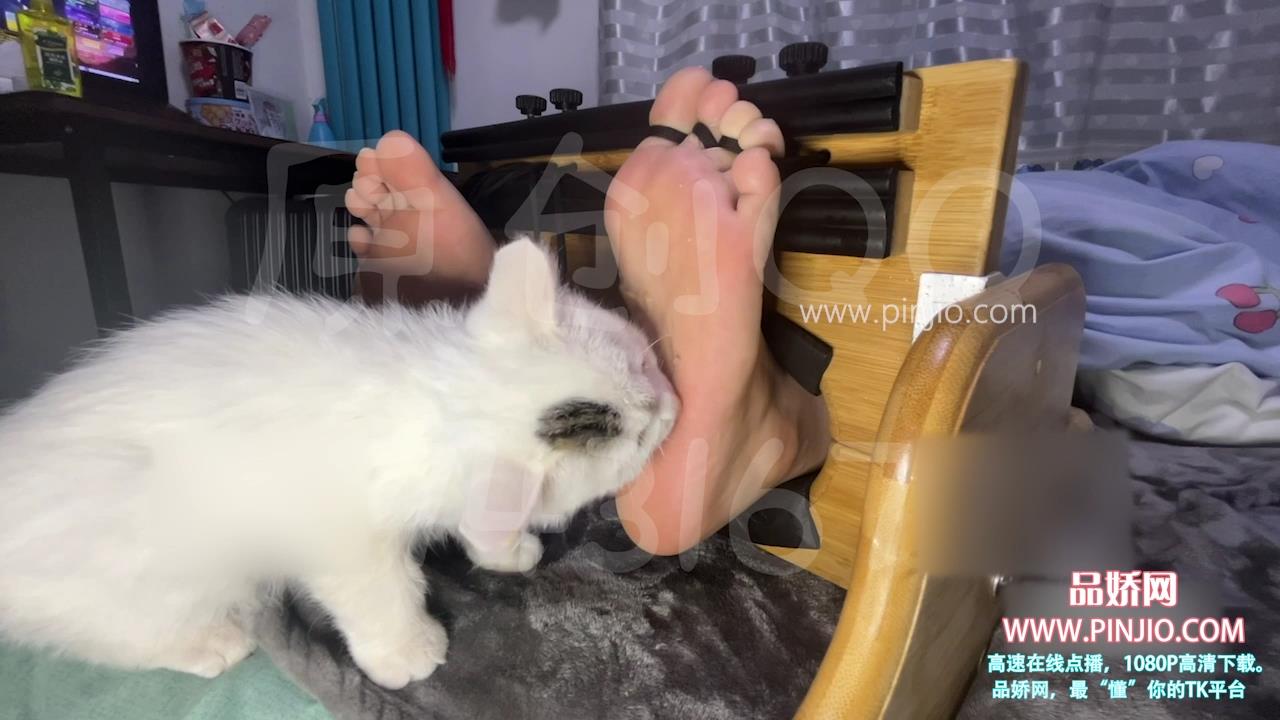 YZ_2003【小迪】小猫添脚