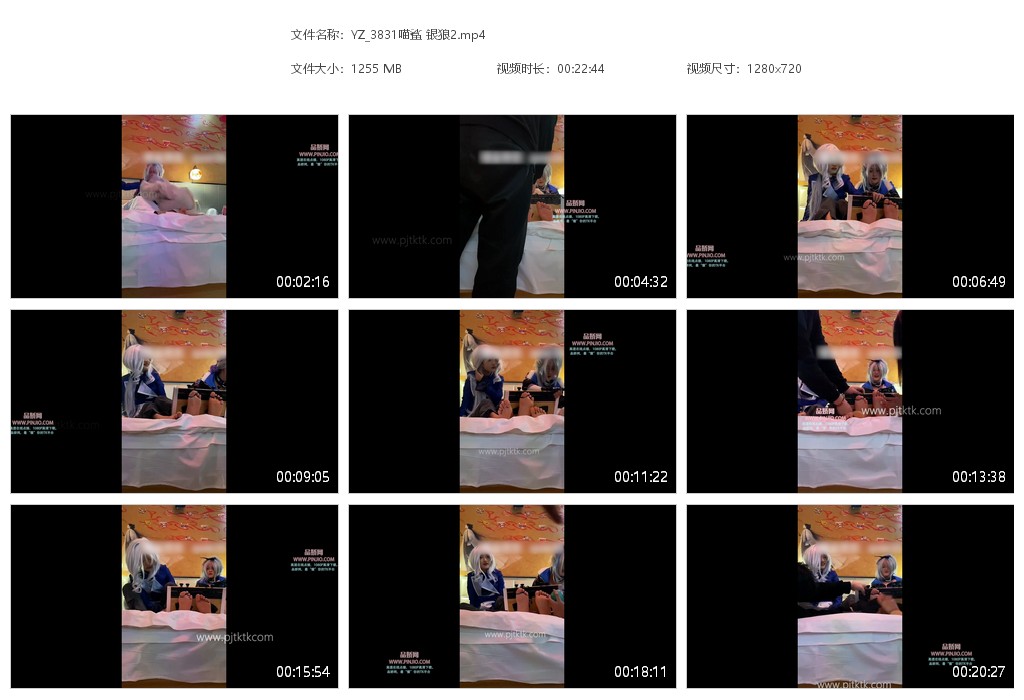 YZ_3831喵鲨 银狼2
