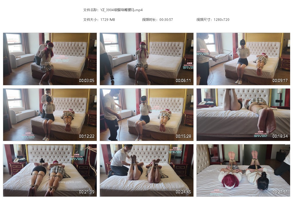 YZ_3904蒙眼堵嘴驷马