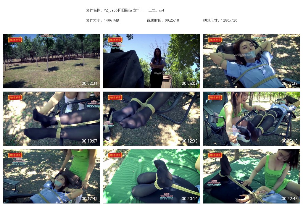 YZ_3956怀旧影苑 女斗十一 上集