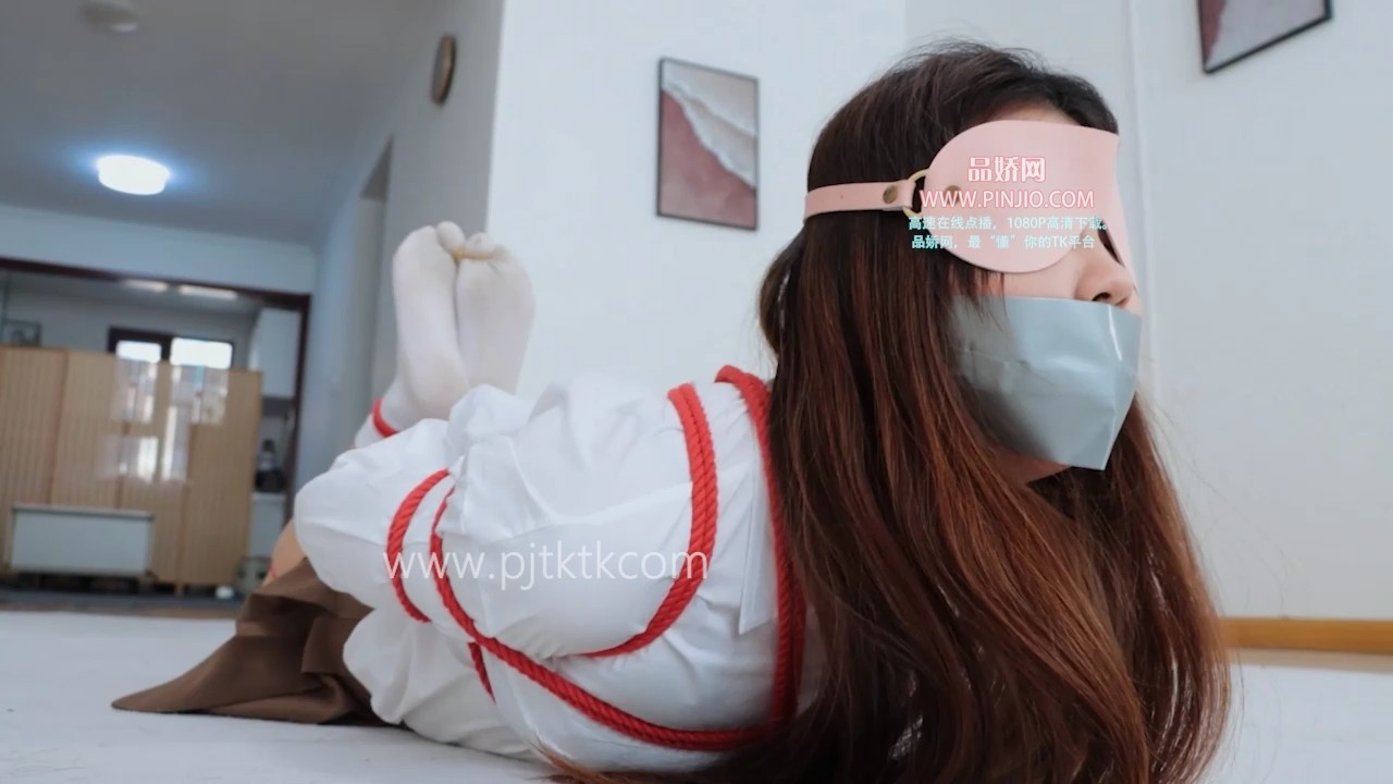 YZ_3972【得意客定拍】《次元三角·雅倩篇（完）》