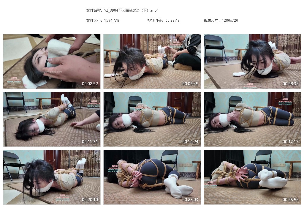 YZ_3984不劳而获之盗（下）