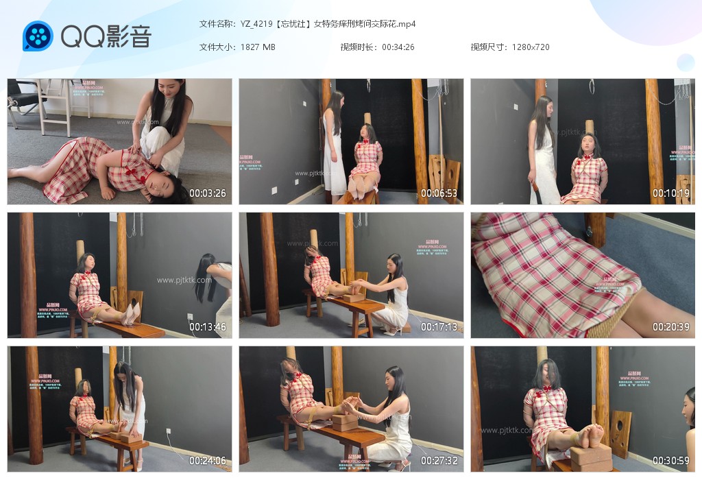 YZ_4219【忘忧社】女特务痒刑烤问交际花